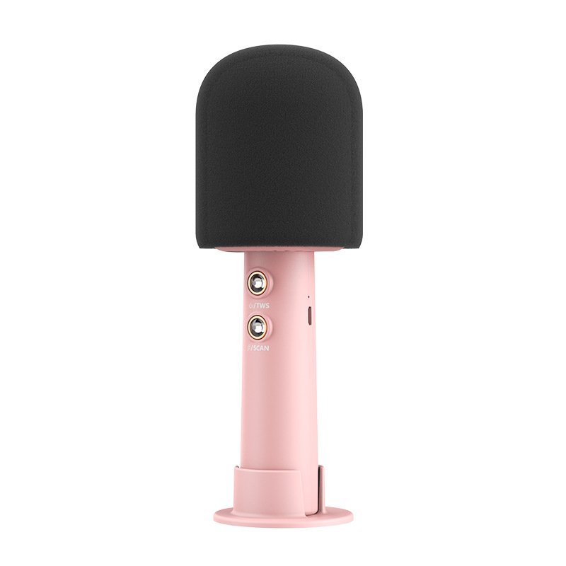 Children's Karaoke Microphone YQ005