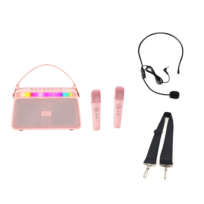 Voice Amplifier YS3 Dual DSP Sound Voice